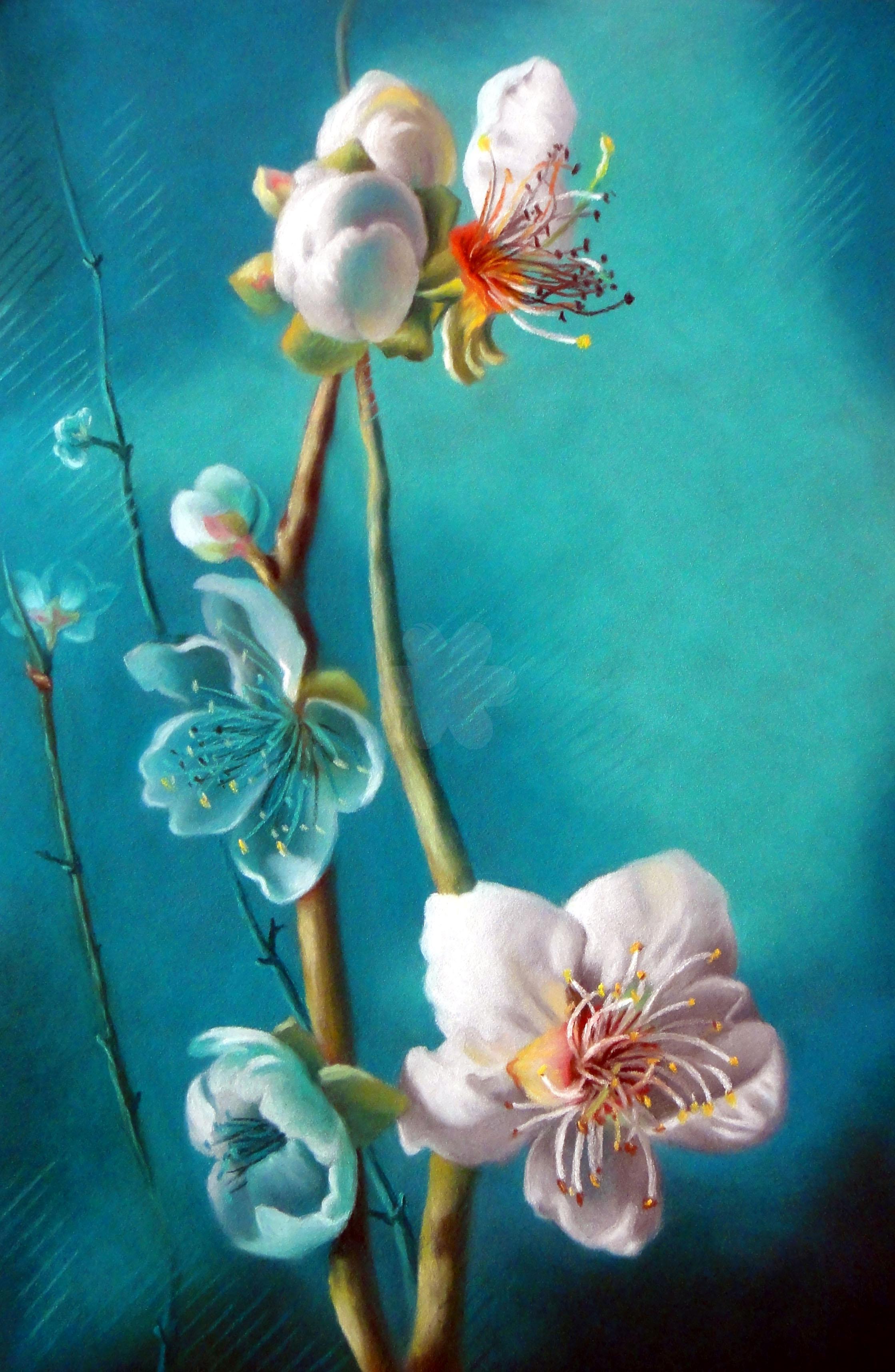 08等待春回_32x49cm_蘇好.jpg