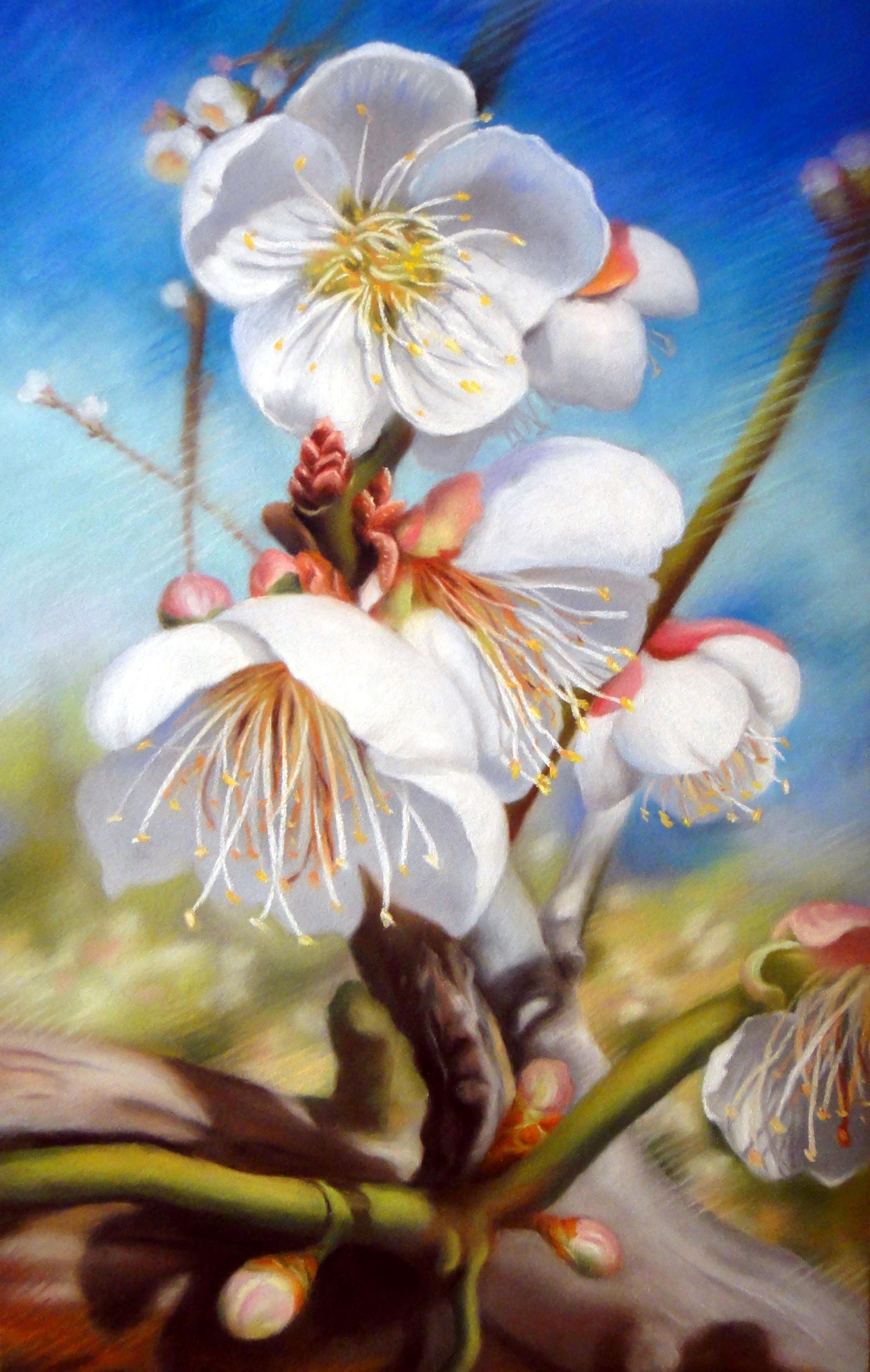 09新意_32x49cm_蘇好.jpg