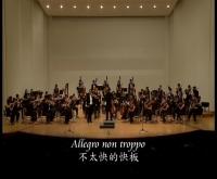 T-V26151-s.mp4
